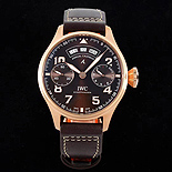 IWC       ƽ    69960-3