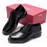         LP8606-2