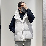 Canada Goose  е   ML3160